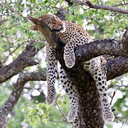 Вилла Pungwe Safari Camp Заповедник Маньелети Экстерьер фото