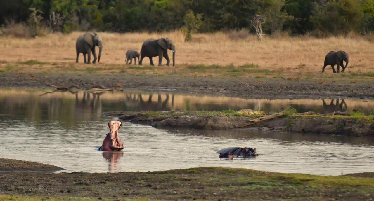 Вилла Pungwe Safari Camp Заповедник Маньелети Экстерьер фото
